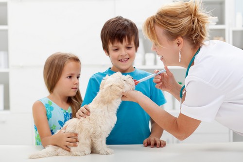 Vaccinations in Copake Falls, NY
