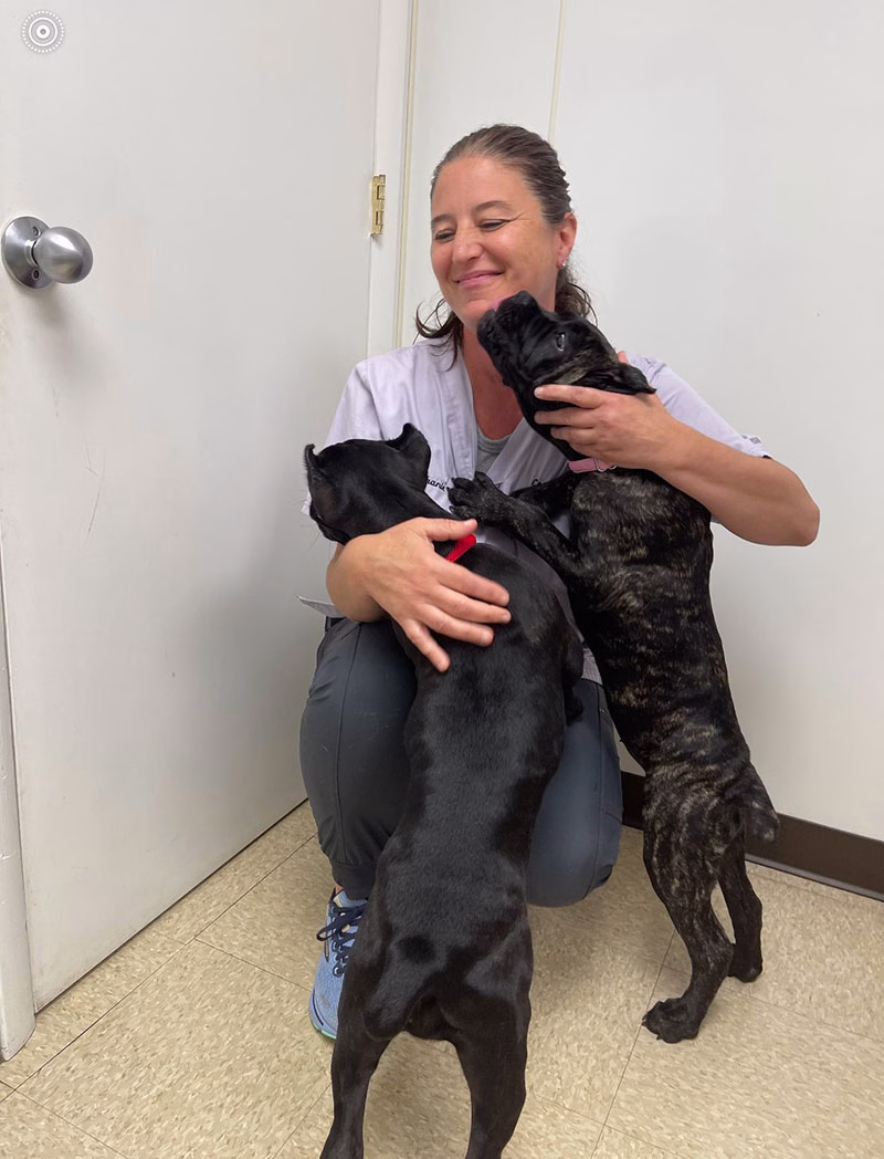 Pet Health Conditions Treated in Copake Falls, NY