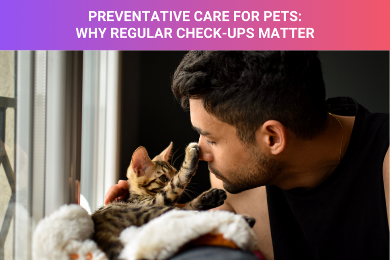 Preventative Care for Pets: Why Regular Check-Ups Matter - Veterinary Copake Falls
