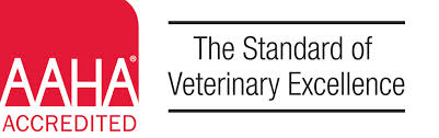 AAHA Accredited