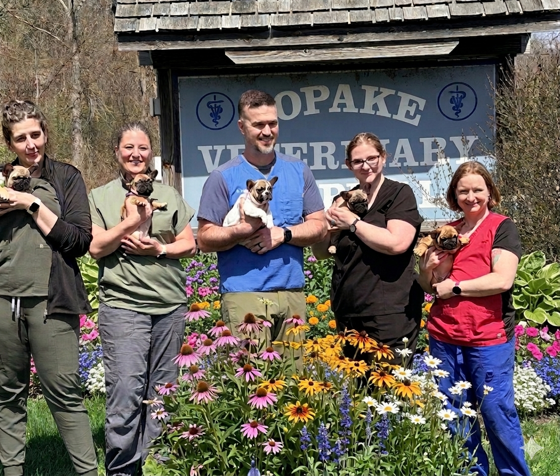 client forms  Copake Falls, NY 
